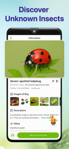 Bug Identifier Bug Finder для Android — скриншот 3