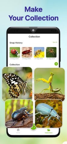Bug Identifier Bug Finder для Android — скриншот 5