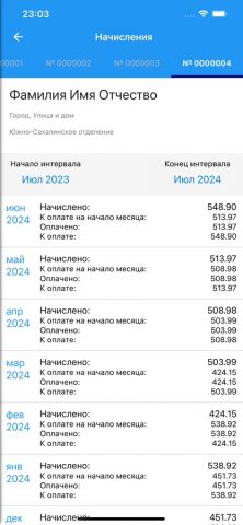 ДЭК Сахалинэнергосбыт для iOS — скриншот 5