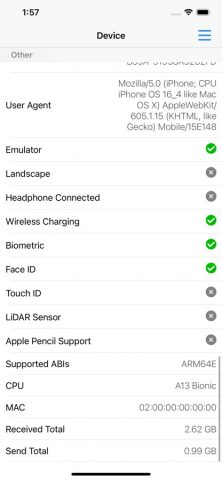 Device Info Tool для iOS — скриншот 4