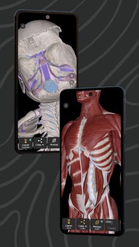 Easy Anatomy 3D для Android — скриншот 2