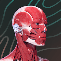 Easy Anatomy 3D для Android