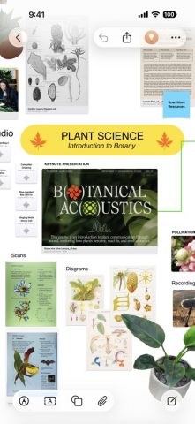 Freeform для iOS — скриншот 1