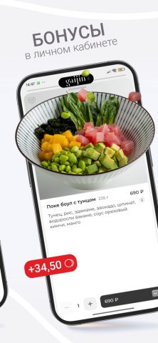 Gaijin для iOS — скриншот 3