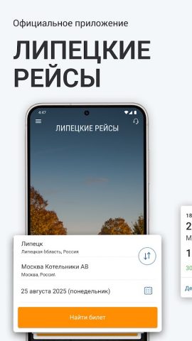 Липецкие рейсы для Android — скриншот 1