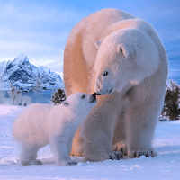 Медведь для Android