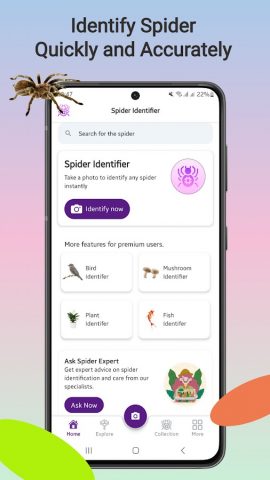 Определитель пауков для Android — скриншот 1