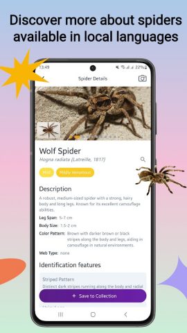 Определитель пауков для Android — скриншот 2