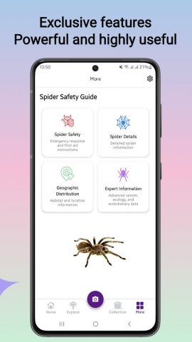 Определитель пауков для Android — скриншот 3