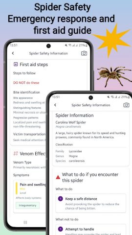 Определитель пауков для Android — скриншот 4