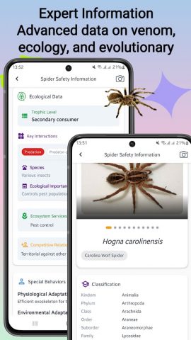 Определитель пауков для Android — скриншот 5