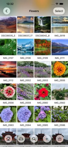 Photo Manager Pro для iOS — скриншот 2