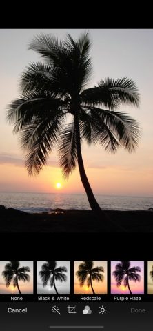 Photo Manager Pro для iOS — скриншот 4