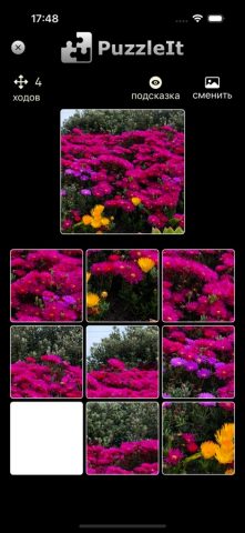PuzzleIt для iOS — скриншот 2