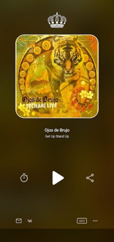 Radio MONTE CARLO SPb для Android — скриншот 4