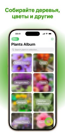 Распознать Растения по Фото ИИ для iOS — скриншот 3