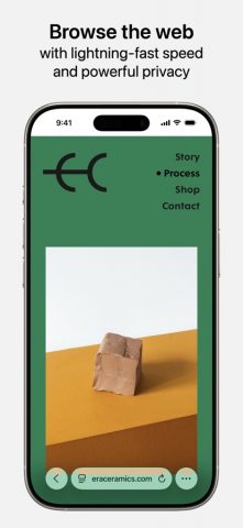 Safari — скриншот 2