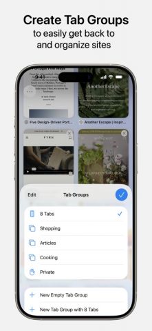 Safari — скриншот 5
