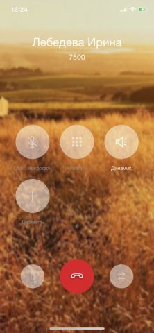 СанСим для iOS — скриншот 3