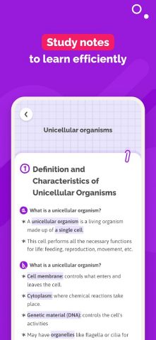 SchoolMouv — AI Tutor & Quiz для Android — скриншот 5