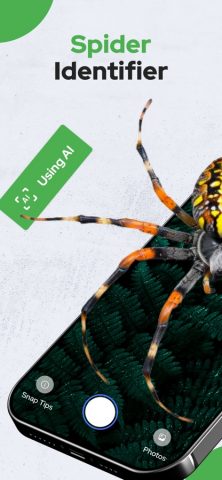 Spiders Identifier by Photo ID — скриншот 1