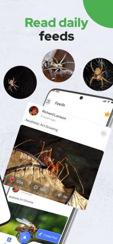 Spiders Identifier by Photo ID — скриншот 4