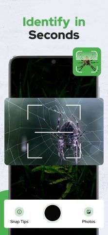 Spiders Identifier by Photo ID — скриншот 5