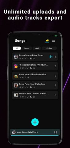 Splitteroo: Vocal Remover для Android — скриншот 3
