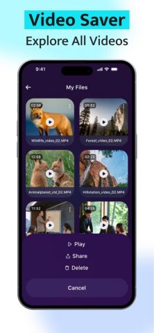 Video Save — Video Downloader для iOS — скриншот 4