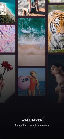 Wallhaven — Awesome Wallpapers для iOS — скриншот 1