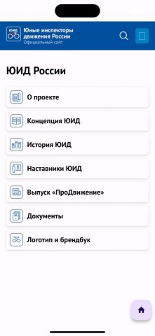 ЮИД РОССИИ для iOS — скриншот 2