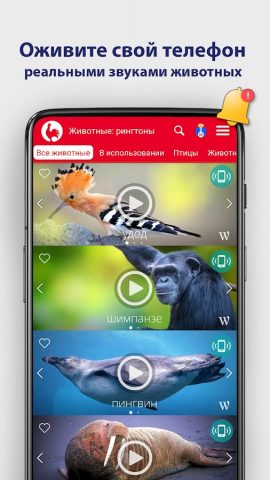 Животные Рингтоны и Мелодии для Android — скриншот 2