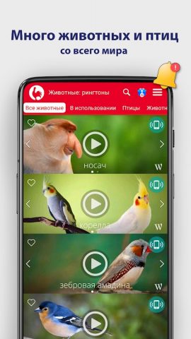 Животные Рингтоны и Мелодии для Android — скриншот 3