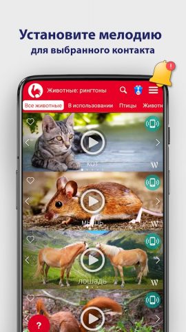 Животные Рингтоны и Мелодии для Android — скриншот 4