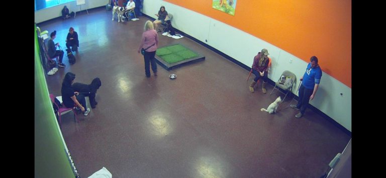 iSpy Cameras для iOS — скриншот 3