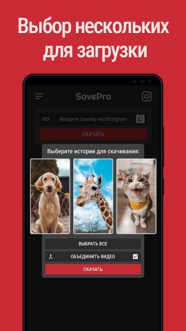 скачать видео с инстаграма для Android — скриншот 2