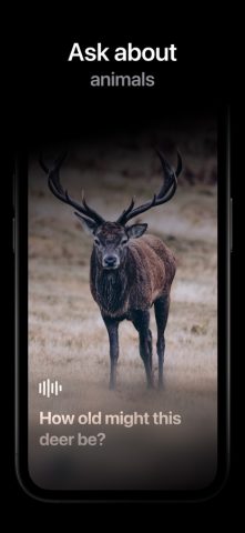 AI Cam — Распознавание по фото для iOS — скриншот 4