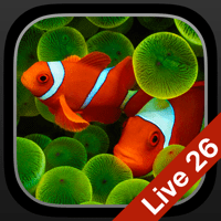 Аквариум живые обои и темы для iOS