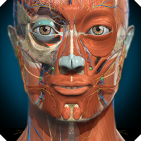 Anatomy Learning — 3D анатомия для iOS