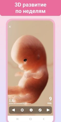 Беременность + | Отслеживайте для Android — скриншот 5