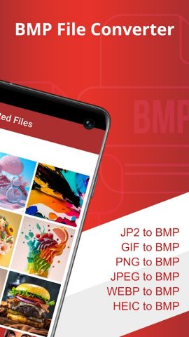 Bmp File Converter для Android — скриншот 2