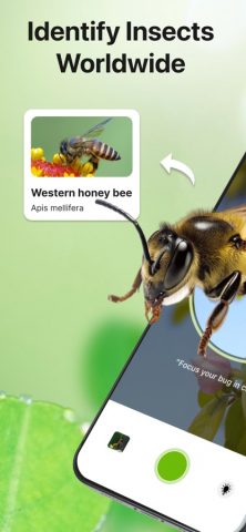 Bug Sound Identifier Insect ID для iOS — скриншот 1