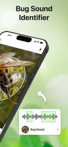 Bug Sound Identifier Insect ID для iOS — скриншот 2