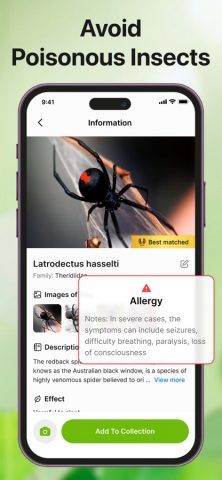 Bug Sound Identifier Insect ID для iOS — скриншот 5