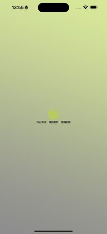 CSS Client — скриншот 1
