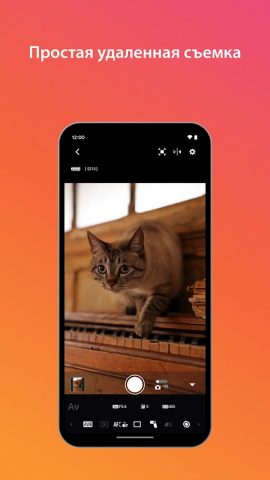 Canon Camera Connect для Android — скриншот 3
