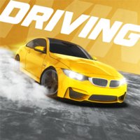 City Car Driving для iOS
