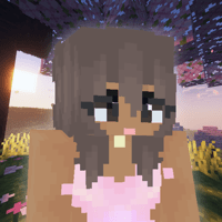 Custom Skin Creator HD для iOS