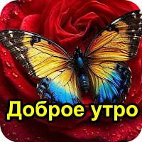 Доброе утро Хорошего дня для Android