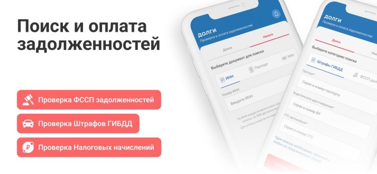 Долги ФССП: штрафы ГИБДД, ФНС для iOS — скриншот 1